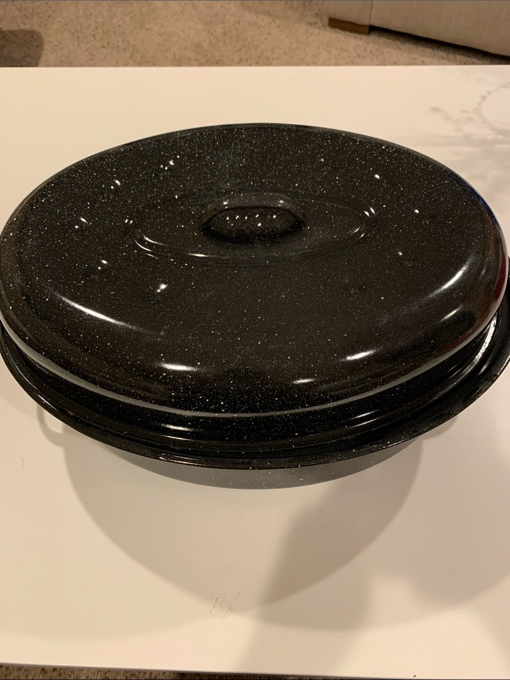Black Speckled Enamel Roaster with Lid